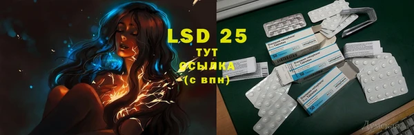ALPHA PVP Аркадак