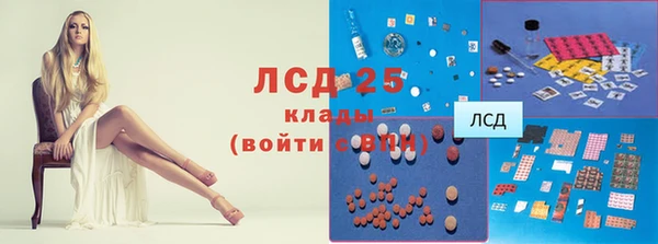 эйфоретик Арсеньев