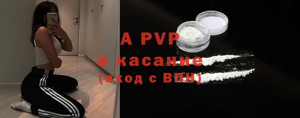 эйфоретик Арсеньев