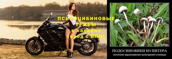 эйфоретик Арсеньев