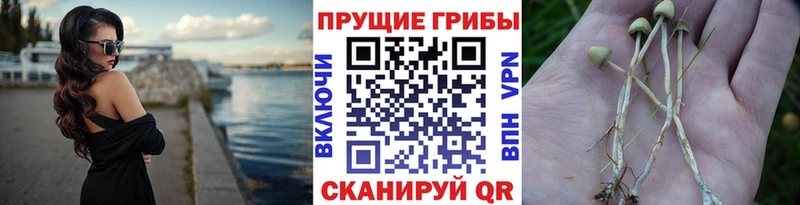 Галлюциногенные грибы мухоморы  цены наркотик  Асбест 